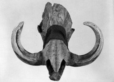 Zulu. <em>Decorated Wart Hog Skull</em>, 20th century. Warthog skull, woven cloth, 5 1/8 x 7 5/16 x 10 1/4 in. (13.0 x 21.6 x 26.1 cm). Brooklyn Museum, Gift of Marcia and John Friede and Mrs. Melville W. Hall, 87.218.119. Creative Commons-BY (Photo: Brooklyn Museum, 87.218.119_bw.jpg)