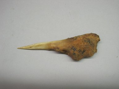 Hupa. <em>Awl for Splitting Pine Root</em>. Bone, 1 3/8 × 1/4 × 4 1/8 in. (3.5 × 0.6 × 10.5 cm). Brooklyn Museum, Museum Expedition 1905, Museum Collection Fund, 05.588.7449. Creative Commons-BY (Photo: Brooklyn Museum, CUR.05.588.7449.jpg)