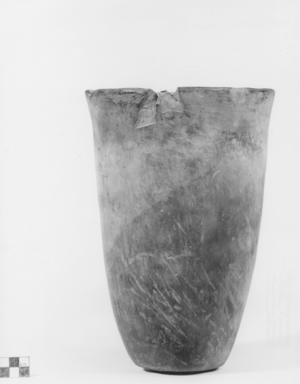  <em>Large Goblet-shaped Pottery Vase</em>, ca. 3800-3300 B.C.E. Clay, 10 15/16 x Diam. 7 1/2 in. (27.8 x 19 cm). Brooklyn Museum, 06.308. Creative Commons-BY (Photo: , CUR.06.308_NegA_print_bw.jpg)