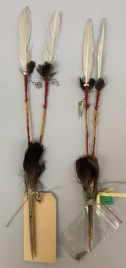 Pomo. <em>Head Feathers (kha-tass) worn by a dancer</em>, late 19th - early 20th century. Feathers, cotton cord, yarn, wood, glass beads, abalone shell beads, a: 14 3/8 × 2 1/2 × 3/4 in. (36.5 × 6.4 × 1.9 cm). Brooklyn Museum, Museum Expedition 1906, Museum Collection Fund, 06.331.7996a-b. Creative Commons-BY (Photo: Brooklyn Museum, CUR.06.331.7996.jpg)