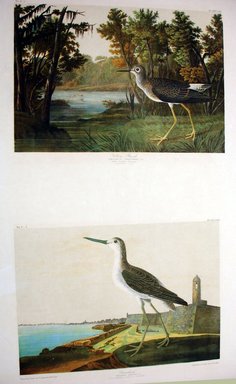 John James  Audubon (American, born Haiti, 1785-1851). <em>Yellow Shank and Green Shank</em>, 1861. Chromolithograph Brooklyn Museum, Gift of Seymour R. Husted Jr., 06.339.44a-b (Photo: Brooklyn Museum, CUR.06.339.44a-b.jpg)