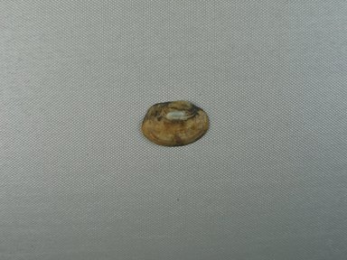  <em>1 Valve of a Mussel Shell</em>, ca. 4400-3100 B.C.E. Shell, 1/4 x 1 x 1 7/16 in. (0.7 x 2.5 x 3.6 cm). Brooklyn Museum, Charles Edwin Wilbour Fund, 07.447.764a. Creative Commons-BY (Photo: , CUR.07.447.764a_view01.jpg)