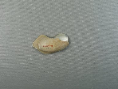  <em>Fragment of 1 Valve of Mussel Shell</em>, ca. 4400-2675 B.C.E. Shell, 1 5/16 x 3/8 x 2 9/16 in. (3.4 x 0.9 x 6.5 cm). Brooklyn Museum, Charles Edwin Wilbour Fund, 07.447.773. Creative Commons-BY (Photo: Brooklyn Museum, CUR.07.447.773_view2.jpg)