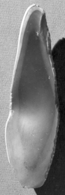  <em>Flake</em>, ca. 4400-3100 B.C.E., or much earlier. Gray chert, 1 3/4 x 6 in. (4.4 x 15.2 cm). Brooklyn Museum, Charles Edwin Wilbour Fund, 07.447.871. Creative Commons-BY (Photo: , CUR.07.447.871_NegC_print_cropped_bw.jpg)