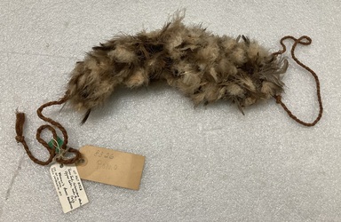 Pomo. <em>Woman's Dance Headdress (is-se-wo)</em>, late 19th - early 20th century. Buzzard feathers, fiber, cotton rope, 48 1/16 x 3 1/8in. (122 x 8cm). Brooklyn Museum, Museum Expedition 1907, Museum Collection Fund, 07.467.8326. Creative Commons-BY (Photo: Brooklyn Museum, CUR.07.467.8326.jpg)