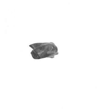  <em>Figurine of a Hippopotamus</em>, ca. 4400-3100 B.C.E. Terracotta, 1 15/16 x 1 x 4 3/16 in. (5 x 2.6 x 10.7 cm). Brooklyn Museum, Charles Edwin Wilbour Fund, 09.889.326. Creative Commons-BY (Photo: Brooklyn Museum, CUR.09.889.326_NegG_print_bw.jpg)