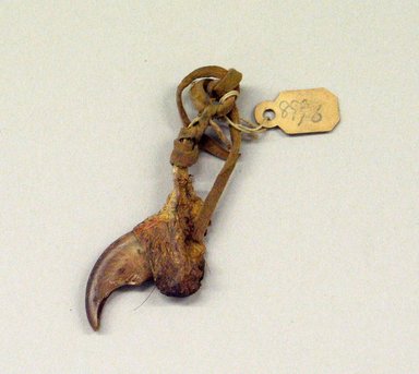 Osage. <em>Charm</em>, late 19th-early 20th century. Black bear claw, fur, string, 3 1/8 in.  (8.0 cm). Brooklyn Museum, Museum Expedition 1911, Museum Collection Fund, 11.694.8996. Creative Commons-BY (Photo: Brooklyn Museum, CUR.11.694.8996.jpg)