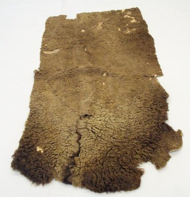 Osage. <em>Buffalo Robe</em>, 19th century. Buffalo hide Brooklyn Museum, Museum Expedition 1911, Museum Collection Fund, 11.694.9023. Creative Commons-BY (Photo: Brooklyn Museum, CUR.11.694.9023_view1.jpg)