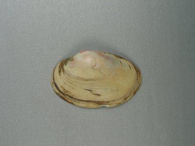  <em>Undecorated Clam Shell</em>, ca. 1539–1292 B.C.E. Shell, 1 15/16 x 11/16 x 3 3/16 in. (4.9 x 1.8 x 8.1 cm). Brooklyn Museum, Gift of the Egypt Exploration Fund, 14.637. Creative Commons-BY (Photo: Brooklyn Museum, CUR.14.637_view1.jpg)
