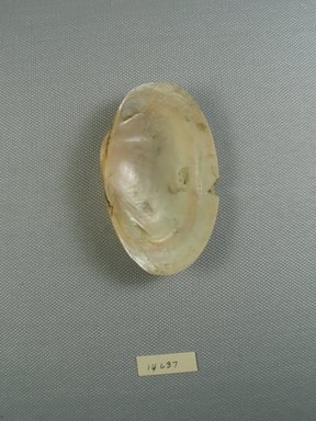  <em>Undecorated Clam Shell</em>, ca. 1539-1292 B.C.E. Shell, 1 15/16 x 11/16 x 3 3/16 in. (4.9 x 1.8 x 8.1 cm). Brooklyn Museum, Gift of the Egypt Exploration Fund, 14.637. Creative Commons-BY (Photo: Brooklyn Museum, CUR.14.637_view2.jpg)