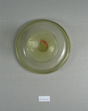 Egypto-Roman. <em>Bowl</em>, 4th century C.E. Glass, 2 5/16 x diam. 3 7/8 in. (5.8 x 9.8 cm). Brooklyn Museum, Gift of Evangeline Wilbour Blashfield, Theodora Wilbour, and Victor Wilbour honoring the wishes of their mother, Charlotte Beebe Wilbour, as a memorial to their father, Charles Edwin Wilbour, 16.108.24. Creative Commons-BY (Photo: Brooklyn Museum, CUR.16.108.24_view3.jpg)