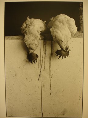Graciela Iturbide (Mexican, born 1942). <em>Untitled</em>, 1981. Gelatin silver photograph, image: 12 x 8 in. (30.5 x 20.3 cm). Brooklyn Museum, Gift of Marcuse Pfeifer, 1990.119.37. © artist or artist's estate (Photo: Brooklyn Museum, CUR.1990.119.37.jpg)