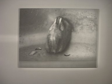 Ann Mandelbaum (American, born 1945). <em>Untitled (mussel with two worms)</em>, 1991. Gelatin silver print, 11 x 13 7/8 in.  (27.9 x 35.2 cm). Brooklyn Museum, Emily Winthrop Miles Fund, 1993.19.1. © artist or artist's estate (Photo: Brooklyn Museum, CUR.1993.19.1.jpg)