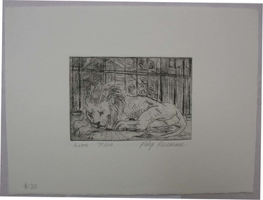 Philip Reisman (American, 1904-1992). <em>Lion</em>, 1927-1934. Etching on paper, sheet: 6 5/8 x 9 in. (16.9 x 22.8 cm). Brooklyn Museum, Gift of Louise Reisman, 1993.39.30. © artist or artist's estate (Photo: Brooklyn Museum, CUR.1993.39.30.jpg)