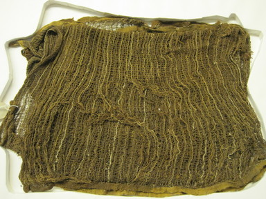  <em>Headcloth</em>, 1400-1700. Cotton, camelid fiber, 34 5/8 x 35 7/16 in. (88 x 90 cm). Brooklyn Museum, Gift of Kay Hodnett Nunez, 1995.47.36. Creative Commons-BY (Photo: , CUR.1995.47.36.jpg)