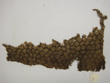  <em>Headcloth, Fragment</em>. Cotton, camelid fiber, 6 1/2 × 10 3/4 in. (16.5 × 27.3 cm). Brooklyn Museum, Gift of Kay Hodnett Nunez, 1995.84.32. Creative Commons-BY (Photo: Brooklyn Museum, CUR.1995.84.32.jpg)