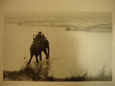 Arvind Garg (American, born India 1946). <em>Royal Chitwan National Park, Nepal</em>, 1990. Gelatin silver print, image: 6 1/4 x 9 1/2 in. (15.9 x 24.1 cm). Brooklyn Museum, Gift of Mr. and Mrs. Gilbert Millstein, 1996.110.1. © artist or artist's estate (Photo: Brooklyn Museum, CUR.1996.110.1.jpg)