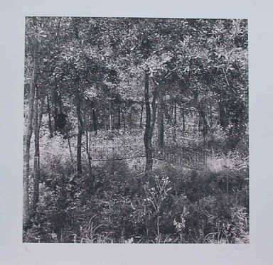 Carrie Mae Weems (American, born 1953). <em>Untitled, Trees with Mattress</em>, 1995. Photo screenprint on paper, sheet: 21 15/16 x 21 7/8 in. (55.7 x 55.6 cm). Brooklyn Museum, Alfred T. White Fund, 1996.46.10. © artist or artist's estate (Photo: , CUR.1996.46.10.jpg)