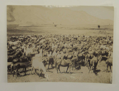  <em>[Untitled], One of 274 Vintage Photographs</em>, late 19th-early 20th century. Gelatin silver printing out paper, 4 5/8 x 6 1/4 in.  (11.7 x 15.9 cm). Brooklyn Museum, Purchase gift of Leona Soudavar in memory of Ahmad Soudavar, 1997.3.194 (Photo: , CUR.1997.3.194.jpg)