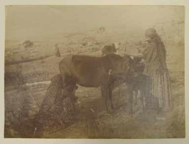  <em>[Untitled], One of 274 Vintage Photographs</em>, late 19th-early 20th century., 6 1/8 x 8 1/8 in. (15.6 x 20.6 cm). Brooklyn Museum, Purchase gift of Leona Soudavar in memory of Ahmad Soudavar, 1997.3.220 (Photo: , CUR.1997.3.220.jpg)