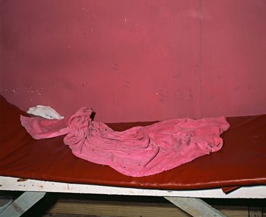 Deana Lawson (American, born 1979). <em>Hellshire Beach Towel with Flies</em>, 2013. Pigmented inkjet print, sheet: 35 x 44 5/8 in. (88.9 x 113.3 cm). Brooklyn Museum, Gift of the artist and Rhona Hoffman Gallery, Chicago, IL, in honor of Arnold Lehman, 2015.17. © artist or artist's estate (Photo: Image courtesy of the artist, CUR.2015.17_Lawson_photograph.jpg)