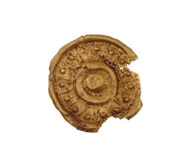  <em>Disk</em>, ca. 5th century B.C.E. Gold, max. diameter: 2 in. (5.1 cm). Brooklyn Museum, Gift of the Arthur M. Sackler Foundation, NYC, in memory of James F. Romano, 2015.65.38. Creative Commons-BY (Photo: Photograph courtesy of the Arthur M. Sackler Foundation, New York, CUR.2015.65.38_Sackler_Foundation_image.jpg)