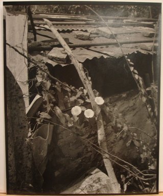 Stephen Shore (American, born 1947). <em>Luzzara, Italy</em>, 1993. Gelatin silver photograph, 10 × 8 in. (25.4 × 20.3 cm). Brooklyn Museum, Gift of The Carol and Arthur Goldberg Collection, 2016.18.1. © artist or artist's estate (Photo: , CUR.2016.18.1.jpg)