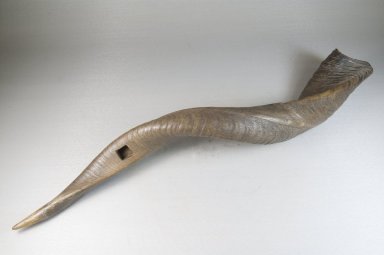  <em>Side Blown Trumpet</em>, late 19th or early 20th century. Antelope horn, 20 1/2 x 2 in. (52.1 x 5.1 cm). Brooklyn Museum, Museum Expedition 1922, Robert B. Woodward Memorial Fund, 22.1288. Creative Commons-BY (Photo: Brooklyn Museum, CUR.22.1288_threequarter_top_PS5.jpg)