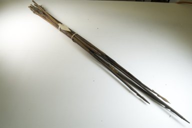  <em>Poisoned Darts</em>, late 19th or early 20th century. Bark cloth, iron, 3/8 x 35 7/16 in. (1 x 90 cm). Brooklyn Museum, Museum Expedition 1922, Robert B. Woodward Memorial Fund, 22.1335. Creative Commons-BY (Photo: Brooklyn Museum, CUR.22.1335_front_PS5.jpg)