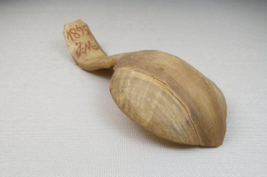  <em>Horn Spoon</em>, late 19th or early 20th century. Horn, 2 1/4 x 5 1/2 in. (5.7 x 14 cm). Brooklyn Museum, Museum Expedition 1922, Robert B. Woodward Memorial Fund, 22.1401. Creative Commons-BY (Photo: Brooklyn Museum, CUR.22.1401_threequarter_bottom_PS5.jpg)