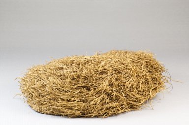Possibly Kongo. <em>Basketry Cap</em>, late 19th century. Fiber, raffia, height: 3 1/8 in. (7.9 cm); diameter: 6 11/16 in. (17 cm). Brooklyn Museum, Museum Expedition 1922, Robert B. Woodward Memorial Fund, 22.1646. Creative Commons-BY (Photo: Brooklyn Museum, CUR.22.1646_front_PS5.jpg)