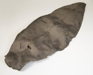 Zulu. <em>Shield</em>, late 19th century. Hide, wood and wire, 41 5/16 x 16 1/8 in. (105 x 41 cm). Brooklyn Museum, Museum Expedition 1922, Robert B. Woodward Memorial Fund, 22.858. Creative Commons-BY (Photo: Brooklyn Museum, CUR.22.858_front_PS5.jpg)
