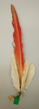 Tukano. <em>Feathers</em>, early 20th century. Feathers, cotton, resin, a: 17 × 4 × 1/4 in. (43.2 × 10.2 × 0.6 cm). Brooklyn Museum, Gift of Caspar Whitney, 23.282.25a-h. Creative Commons-BY (Photo: Brooklyn Museum, CUR.23.282.25a.jpg)