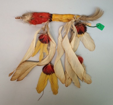 Tukano. <em>Feather Wand</em>, early 20th century. Feathers, plant fiber, 10 × 1 1/2 × 11 1/2 in. (25.4 × 3.8 × 29.2 cm). Brooklyn Museum, Gift of Caspar Whitney, 23.282.3. Creative Commons-BY (Photo: Brooklyn Museum, CUR.23.282.3.jpg)