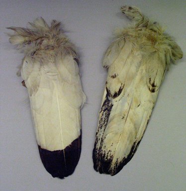  <em>Red Cloud Eagle Wing</em>, early 1900s. Eagle wing Brooklyn Museum, Robert B. Woodward Memorial Fund, 26.803.2. Creative Commons-BY (Photo: , CUR.26.803.2_26.803.3_view1.jpg)