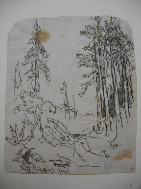 Ralph Albert Blakelock (American, 1847-1919). <em>Redwoods</em>, ca. 1869-1871. Pen and ink over graphite on paper affixed to support paper, Sheet (irregular): 11 7/16 x 9 3/8 in. (29.1 x 23.8 cm). Brooklyn Museum, Gift of Mr. and Mrs. E. Le Grand Beers in memory of Edwin Beers, 27.19 (Photo: , CUR.27.19.jpg)