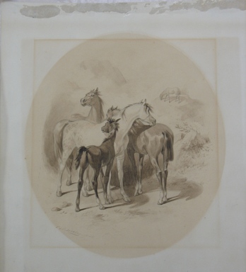 Felix Octavius Carr Darley (American, 1822–1888). <em>Horses</em>, n.d. Graphite and ink wash on heavy paper, Sheet: 17 x 14 5/8 in. (43.2 x 37.1 cm). Brooklyn Museum, Frederick Loeser Fund, 28.214 (Photo: Brooklyn Museum, CUR.28.214.jpg)