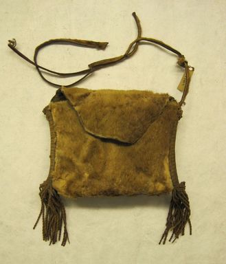 Arekuna. <em>Bag</em>. Hide, cotton, 10 × 7 3/4 × 2 in. (25.4 × 19.7 × 5.1 cm). Brooklyn Museum, Museum Expedition 1930, Robert B. Woodward Memorial Fund and the Museum Collection Fund, 30.1302a. Creative Commons-BY (Photo: Brooklyn Museum, CUR.30.1302a.jpg)