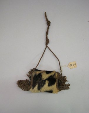 Arekuna. <em>Jaguar Hide Bag</em>, early 20th century. Jaguar hide, cotton, 3 1/2 × 4 1/2 × 1 1/4 in. (8.9 × 11.4 × 3.2 cm), includes tassels but not strap. Brooklyn Museum, Museum Expedition 1930, Robert B. Woodward Memorial Fund and the Museum Collection Fund, 30.1302f. Creative Commons-BY (Photo: Brooklyn Museum, CUR.30.1302f.jpg)