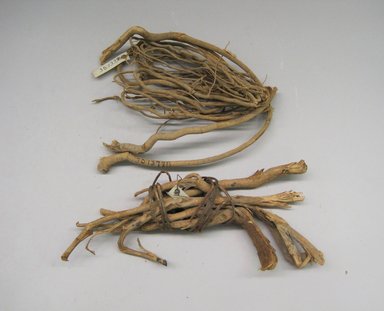  <em>Two Bunches of Native Roots</em>, early 20th century. Roots, A: 4 1/2 x 1 1/4 x 11 1/2 in. (11.4 x 3.2 x 29.2 cm). Brooklyn Museum, Museum Expedition 1930, Robert B. Woodward Memorial Fund and the Museum Collection Fund, 30.1378. Creative Commons-BY (Photo: Brooklyn Museum, CUR.30.1378.jpg)