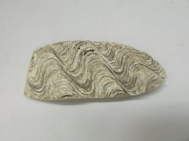 Chamorro. <em>Stone</em>. Stone or shell Brooklyn Museum, Gift of Francis Ferrier Goss, 35.1305. Creative Commons-BY (Photo: Brooklyn Museum, CUR.35.1305.jpg)