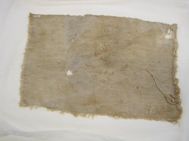  <em>Textile Fragment, undetermined</em>, 1532-1700 or Undetermined. Cotton, 14 1/8 × 21 1/4 in. (35.9 × 54 cm). Brooklyn Museum, Gift of Dr. Harris Kennedy, 35.1982. Creative Commons-BY (Photo: Brooklyn Museum, CUR.35.1982.jpg)
