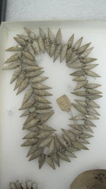 Hawaiian. <em>Necklace</em>. Shell, fiber, leather, 19 11/16 in.  (50.0 cm). Brooklyn Museum, Gift of Appleton Sturgis, 35.2144. Creative Commons-BY (Photo: Brooklyn Museum, CUR.35.2144.jpg)