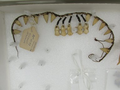 Kiribati. <em>Necklace</em>. Whale teeth, fiber, 14 15/16 x 1 5/8 in. (38 x 4.2 cm). Brooklyn Museum, Gift of Appleton Sturgis, 35.2193. Creative Commons-BY (Photo: Brooklyn Museum, CUR.35.2193.jpg)