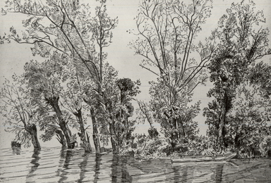 Félix Bracquemond (Paris, France, 1833–1914, Sèvres, France). <em>The Willows at Mottiaux (Les saules des Mottiaux)</em>, 1868. Etching on laid paper, 7 15/16 x 11 9/16 in. (20.2 x 29.4 cm). Brooklyn Museum, By exchange, 36.968 (Photo: Brooklyn Museum, CUR.36.968_overall01.jpg)