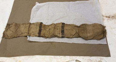  <em>Rectangular Textile with Decorative Strips</em>, 395-642 C.E. Linen, 9 × 49 in. (22.9 × 124.5 cm). Brooklyn Museum, Charles Edwin Wilbour Fund, 37.2051E (Photo: , CUR.37.2051E_view01.JPG)