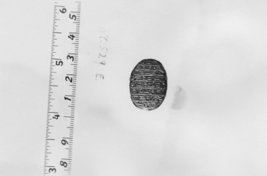  <em>Heart Scarab</em>, ca. 1075––712 B.C.E. Hematite, 1/2 x 11/16 x 1 in. (1.3 x 1.8 x 2.5 cm). Brooklyn Museum, Charles Edwin Wilbour Fund, 37.529E. Creative Commons-BY (Photo: , CUR.37.529E_NegA_print_bw.jpg)