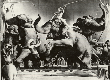 Robert Riggs (American, 1896–1970). <em>Elephant Act</em>, 1937. Lithograph on white wove Rives paper, 14 1/4 x 19 1/2 in. (36.2 x 49.5 cm). Brooklyn Museum, Augustus Graham School of Design Fund, 42.143 (Photo: Brooklyn Museum, CUR.42.143.jpg)