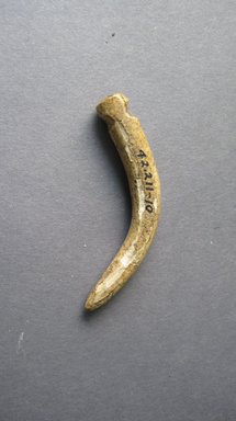 Marquesan. <em>Ornament</em>, before 1938. Bone, 3/8 x 2 3/8 in. (1 x 6 cm). Brooklyn Museum, A. Augustus Healy Fund, 42.211.10. Creative Commons-BY (Photo: Brooklyn Museum, CUR.42.211.10.jpg)
