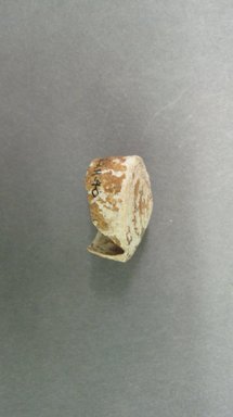 Marquesan. <em>Snail Shell</em>, before 1938. Shell, 9/16 x 1 in. (1.5 x 2.5 cm). Brooklyn Museum, A. Augustus Healy Fund, 42.211.40. Creative Commons-BY (Photo: Brooklyn Museum, CUR.42.211.40.jpg)